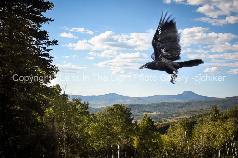 Bears-Ear-From-Northeast-of-Hayden-With-Crow-Composite