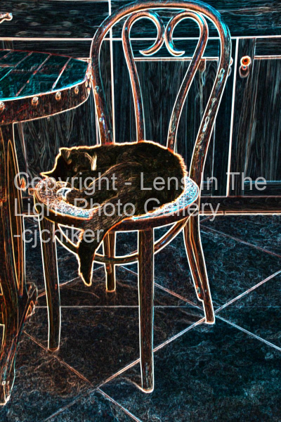 Cat-On-Chair-Multicolor