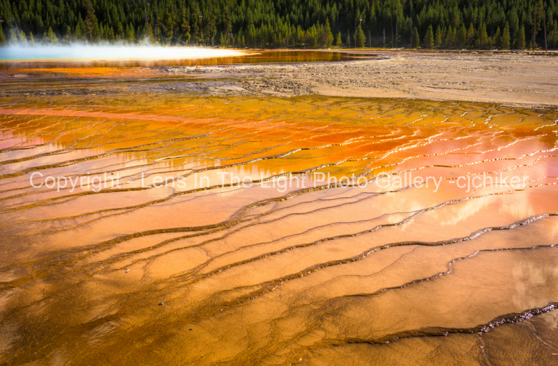 Bacterial-Mat-In-Midway-Geyser-Basin