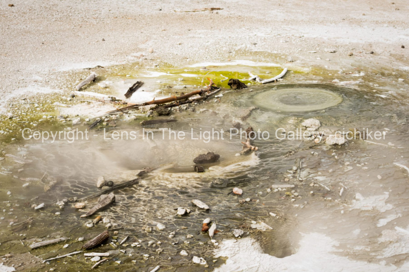 Green-Minerals-In-Yellowstone-National-Park-Geyser-Basin
