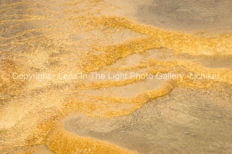 Mineral-Pool-At-Mammoth-Hot-Springs-In-Yellowstone-National-Park