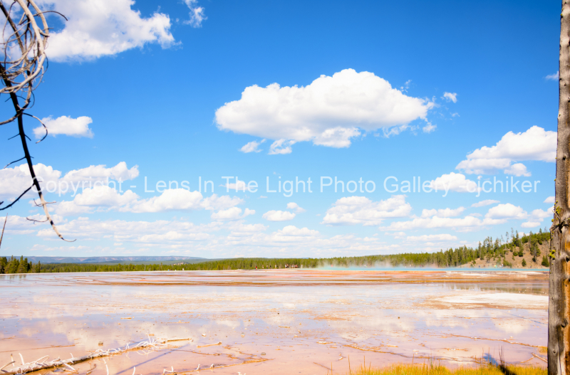 Vivid-Orange-Bacterial-Mat-Grand-Prismatic-Spring-At-Yellowstone-National-Park