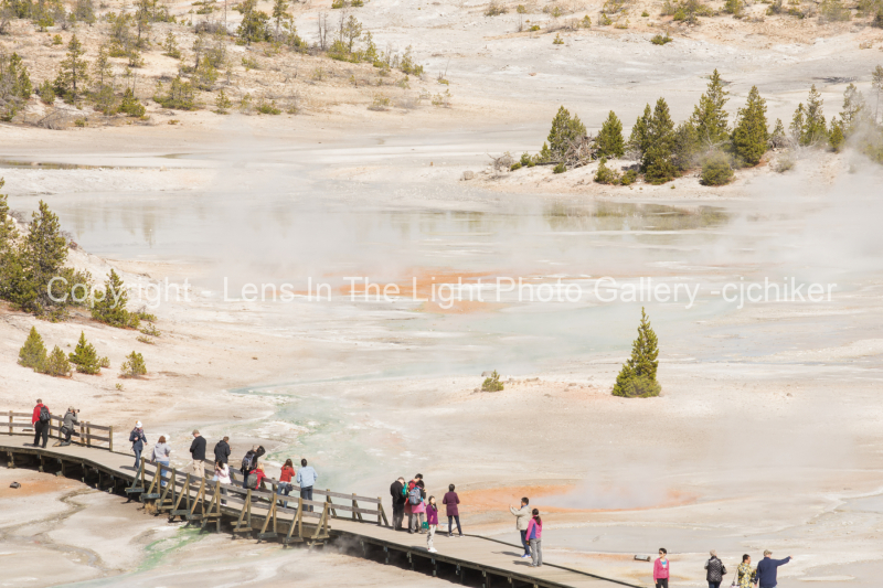 Walkway-With-Tourists-Exploring-Norris-Geyser-Basin-Yellowstone-National-Park