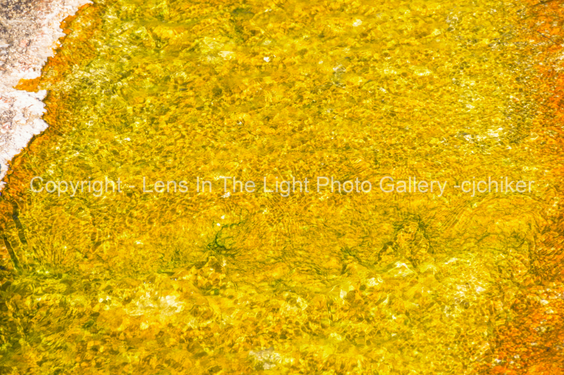 Yellow-Detail-Bacterial-Mat-In-Yellowstone-National-Park