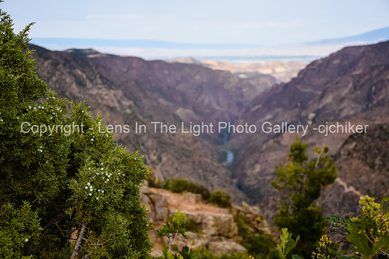 Black-Canyon-Overlooking-Gunnison-River-View