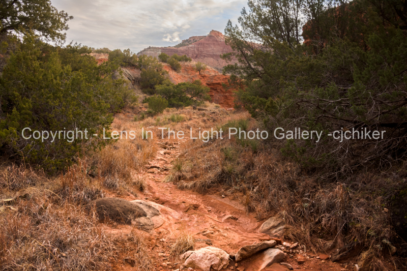 Creekbed-In-Palo-Duro-Canyon-Texas