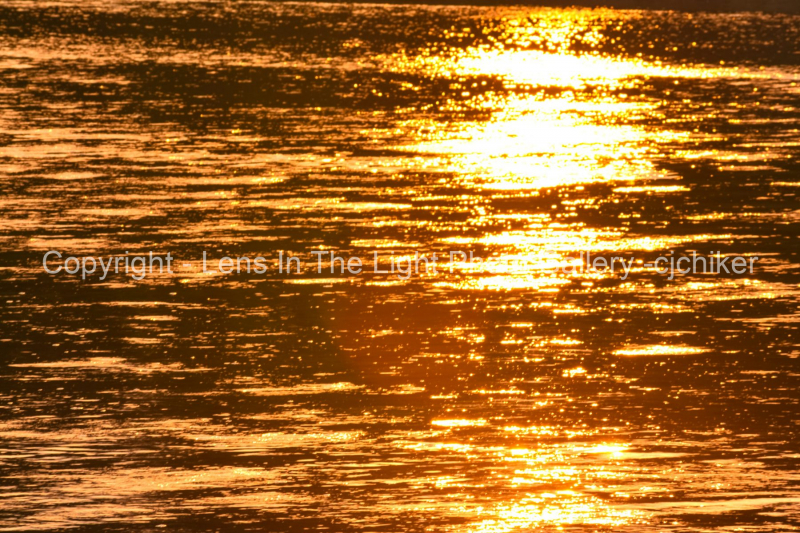 Golden-Sunlight-On-River