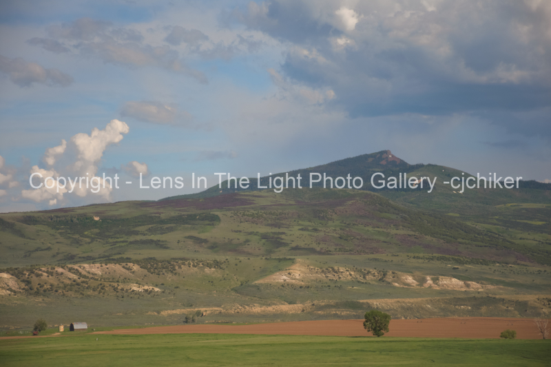Green-Mountain-Meadows-Near-Bakers-Peak-in-Colorado