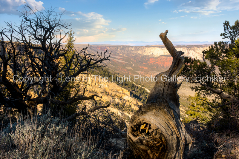 Harpers-Corner-Overlook-In-Northwest-Colorado