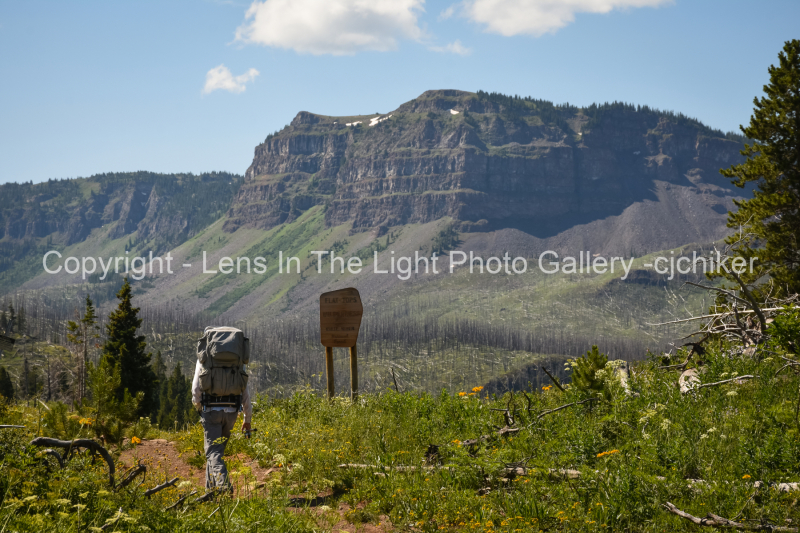 Hiker-On-Colorado-Flattops-Mountain-Trail-By-Trappers-Lake, Colorado