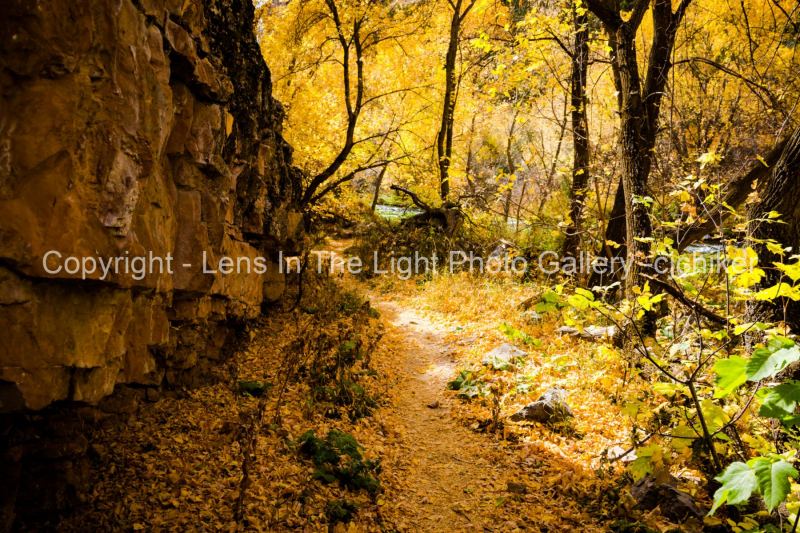 Jones-Hole-Trail-In-Utah