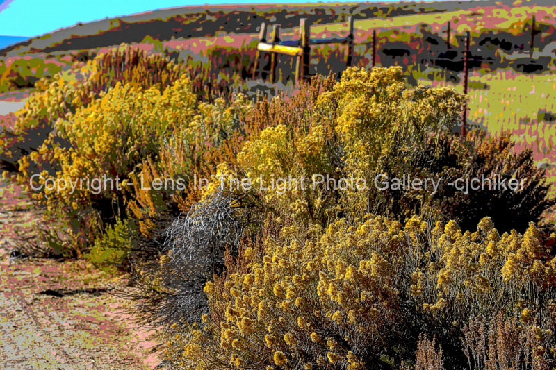 Late-Fall-Brush-On-Lookout-Mountain-Posterized-Effect