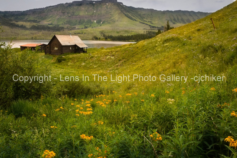 Trappers-Lake-Old-Mountain-Cabin-With-Orange-Sneezeweed-Flowers
