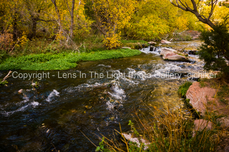 Green River in Jones Hole, Utah