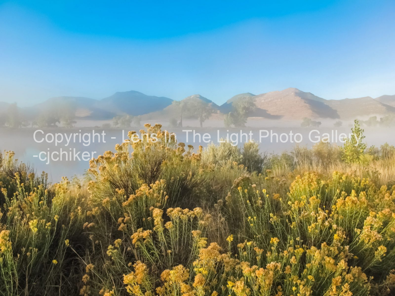 Browns-Park-Green-River-Morning-Mist