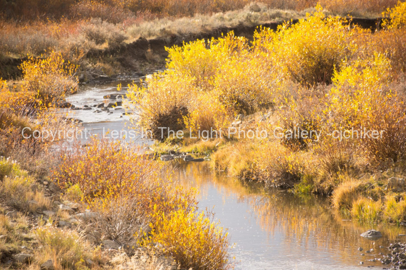 California-Park-Colorado-In-Autumn