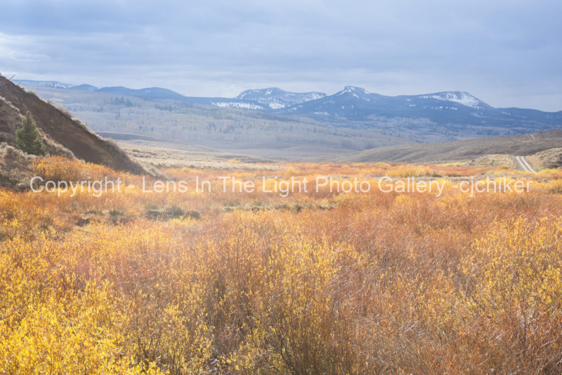 California-Park-Colorado-In-Autumn