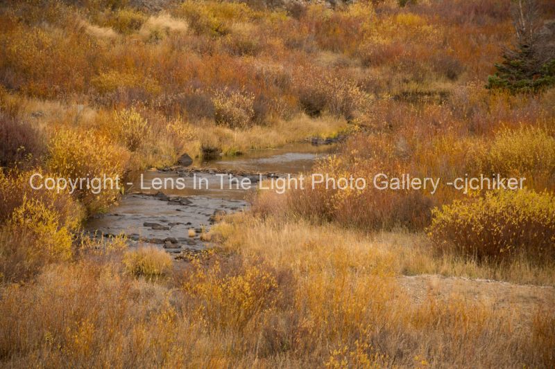 California-Park-Colorado-In-Autumn