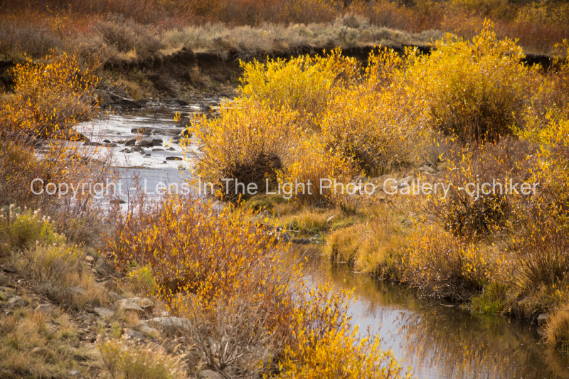 California-Park-Colorado-In-Autumn