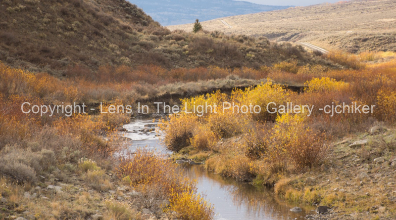 California-Park-Colorado-In-Autumn