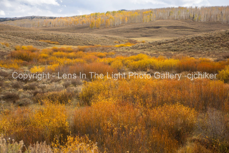 California-Park-Colorado-In-Autumn