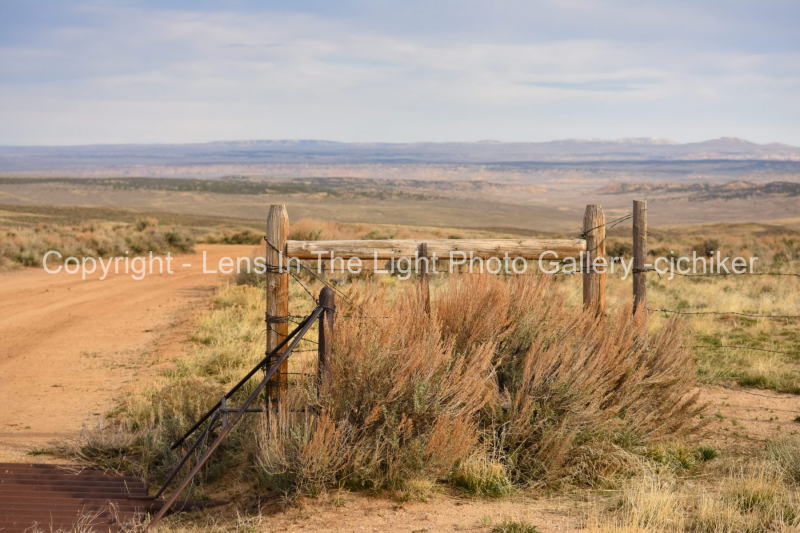 Cattleguard-and-Fence-Barbed-Wire-Western-Scene
