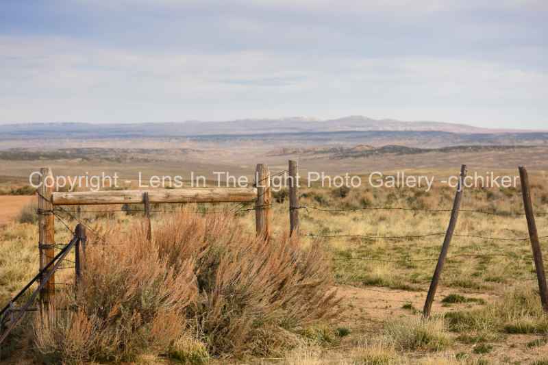 Cattleguard-and-Fence-Western-Scene