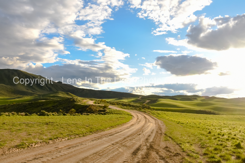 Cedar-Mountain-Road-At-Sundown-Springtime