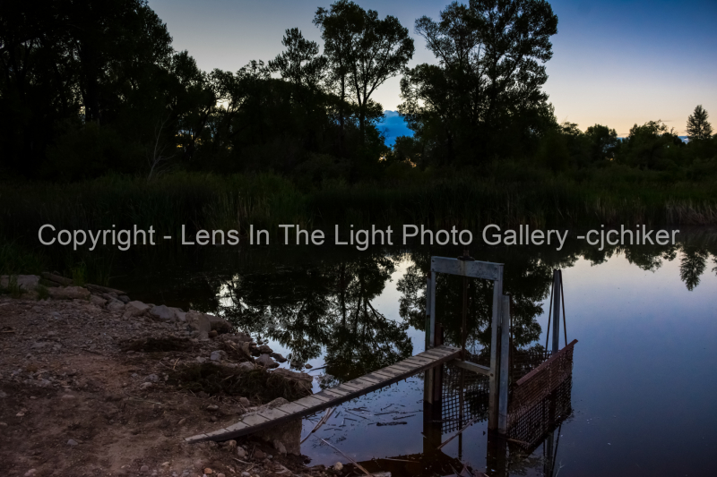 Still-Water-in-Catfish-Pond-at-Dawn