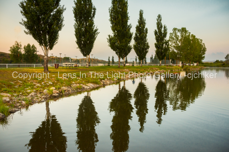 Trees-Along-Pond-At-Sunrise