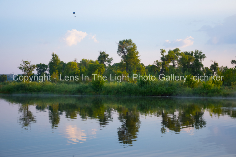 Trees-Along-Shorline-On-Pond