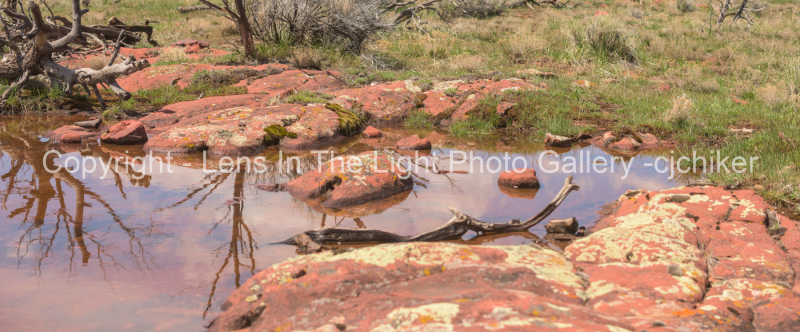 Water-With-Moss-in-Red-Rocks