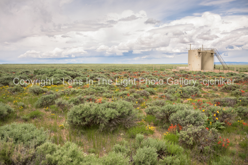 Wildflowers-And-Sagebrush-In-Meadow-With-Oifield-Tanks-In-Background_