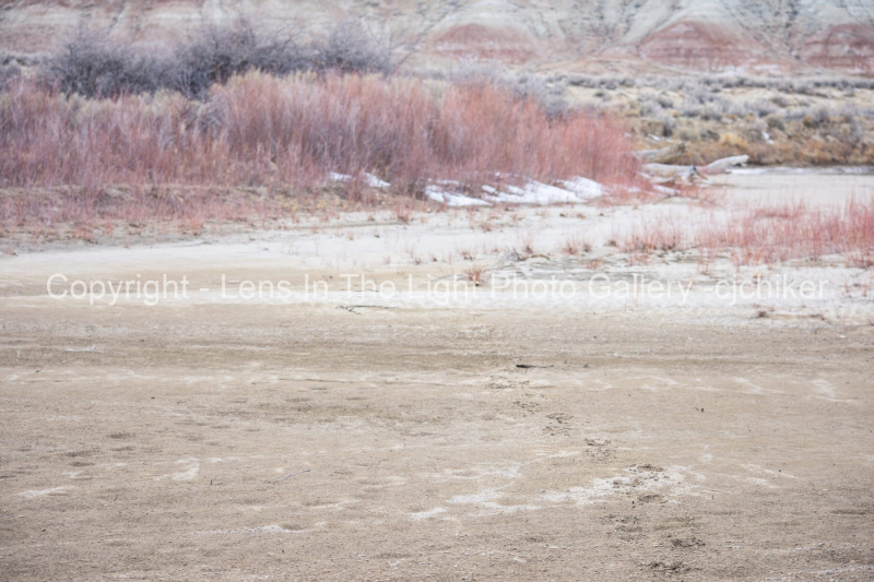 Winter-Beach-With-Footprints