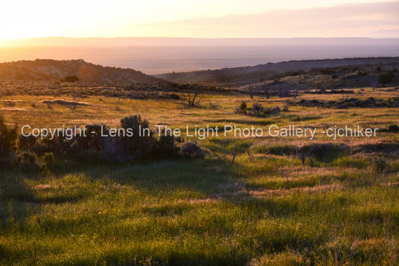 Yellow-Sunrise-in-Sandwash