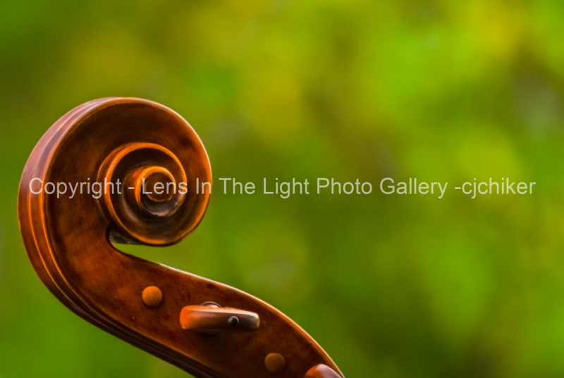 Cello-Detail
