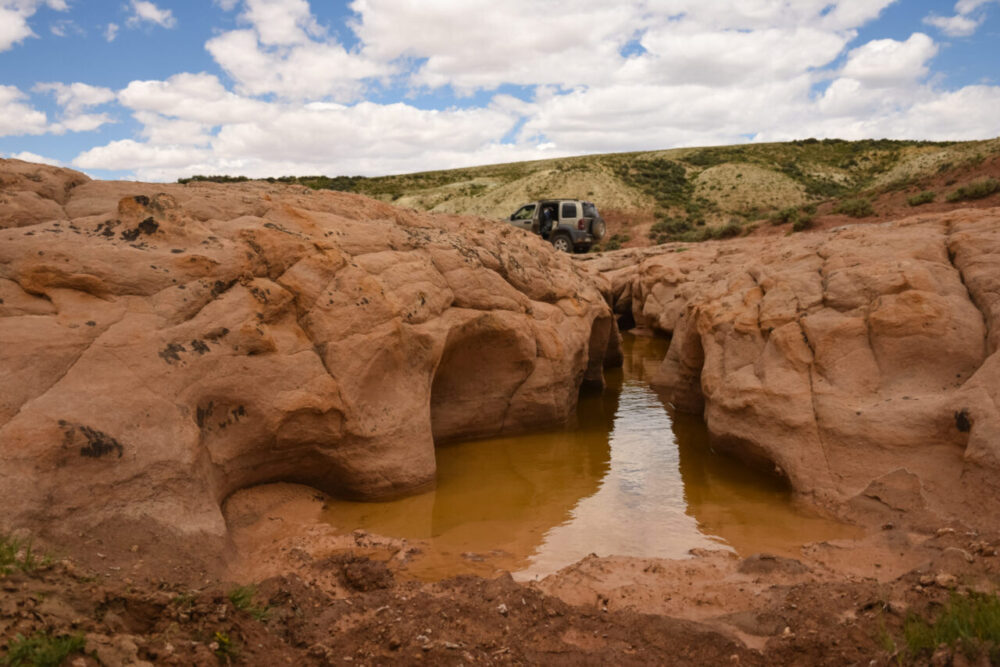 Along the Inland Shore